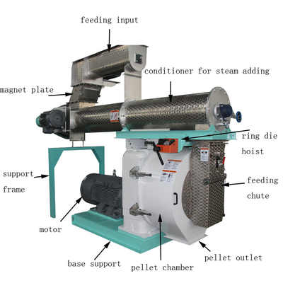 ODM Energy Saving Animal Feed Pellet Mill Machine For Cattle Feed